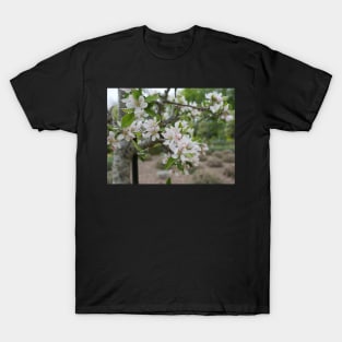 Cherry Blossom flowers white and pink T-Shirt